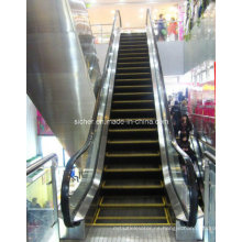 Sicher Gre20 Nice Quality Escalator